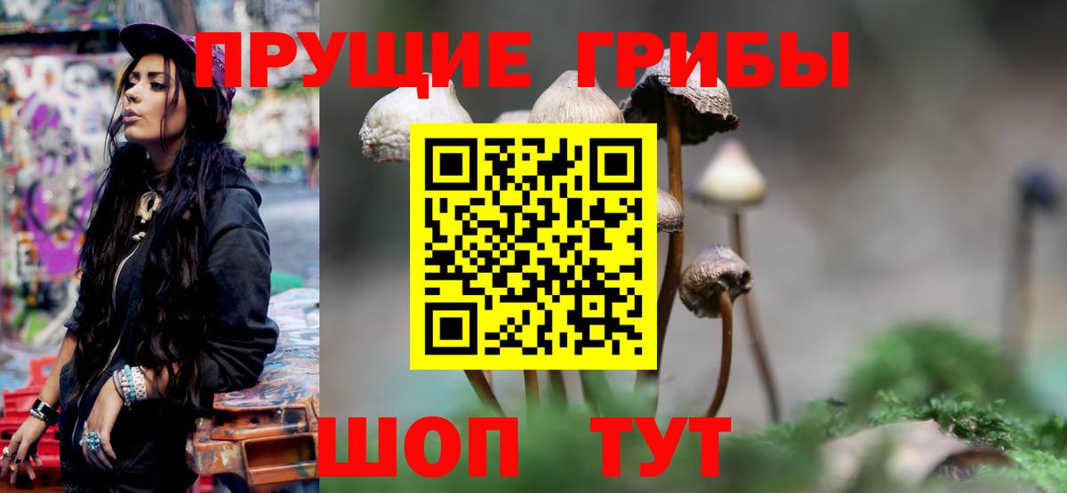 Октябрьский  Псилоцибиновые грибы мухоморы  что такое   Галлюциногенные грибы MAGIC MUSHROOMS  Вход с VPN 